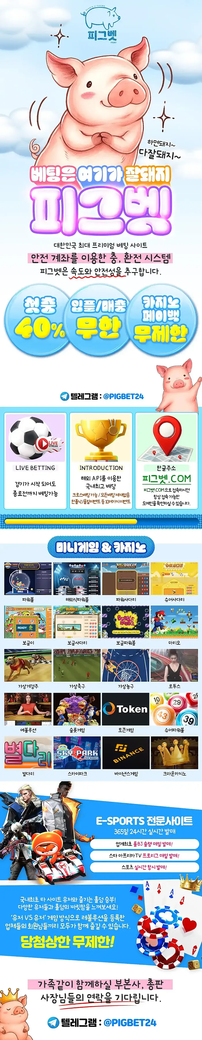 * 피그벳 *